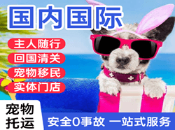 上饶三清山机场托运国际宠物托运 【国
